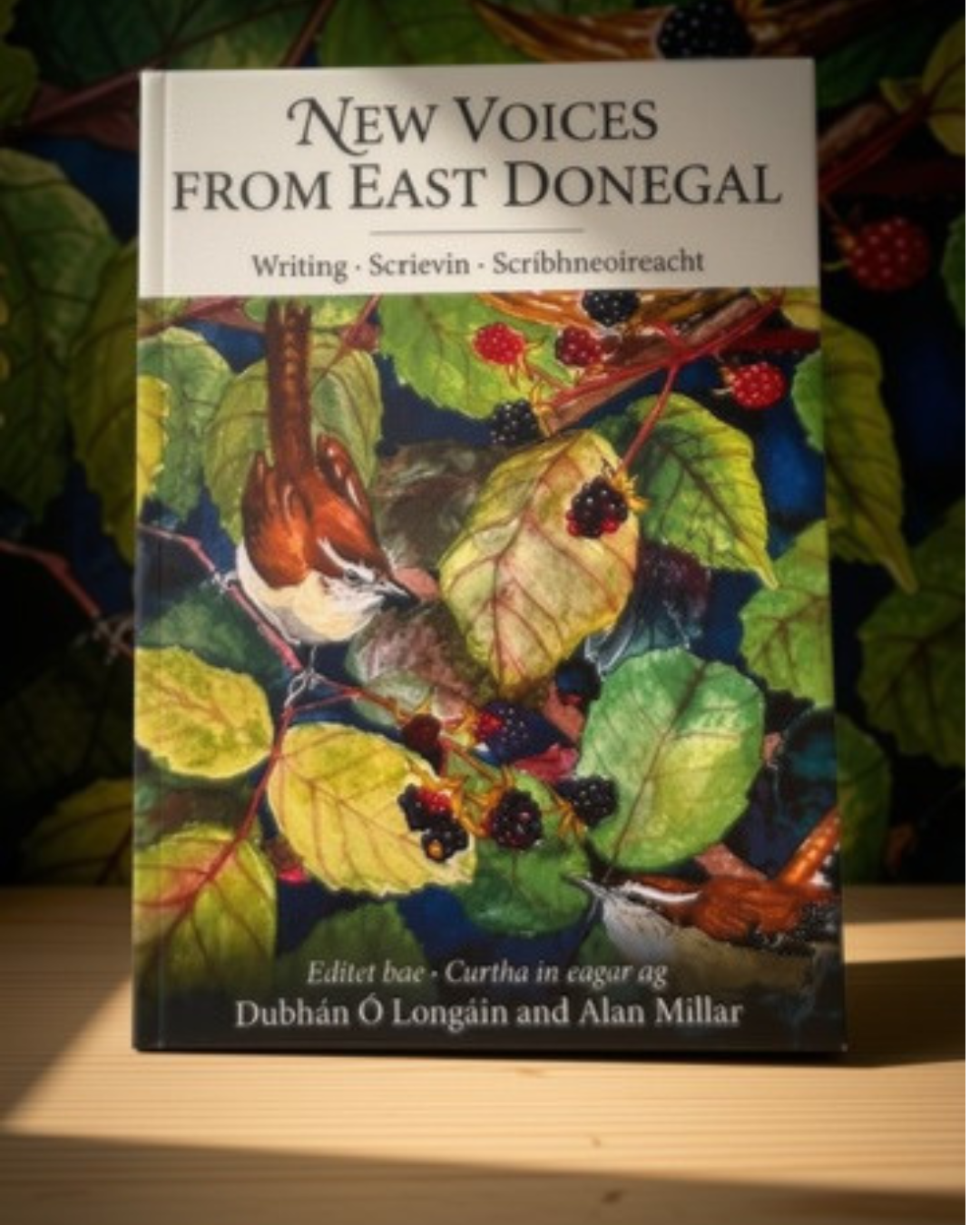 New Voices From East Donegal by Dubhán Ó Longáin and Alan Millar