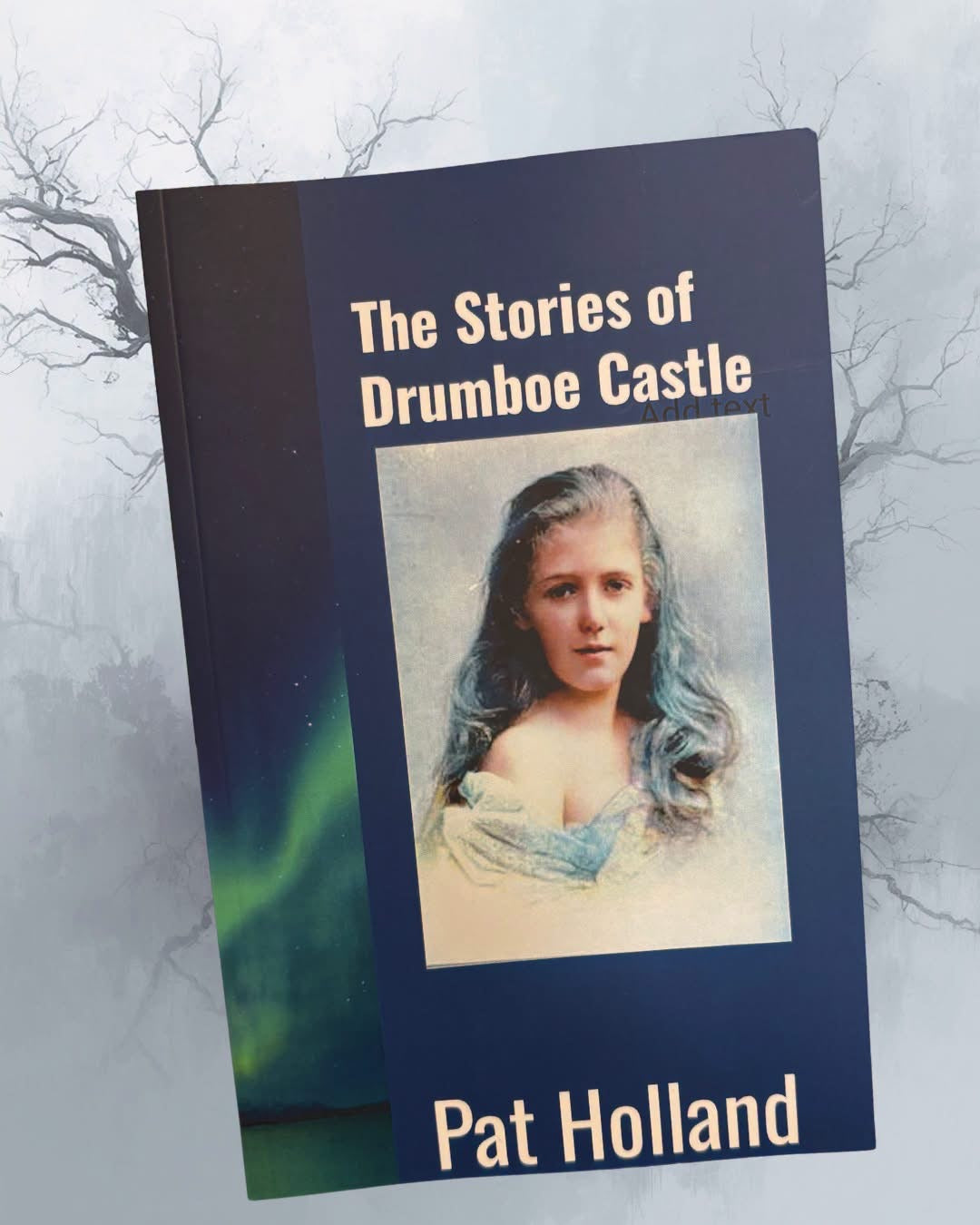 The Stories of Drumboe Castle by Pat Holland