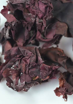 Donegal Dulse